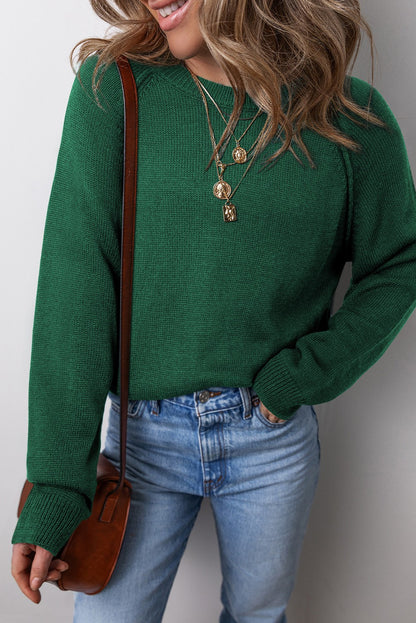 Reglan Sleeve Crew Neck Sweater